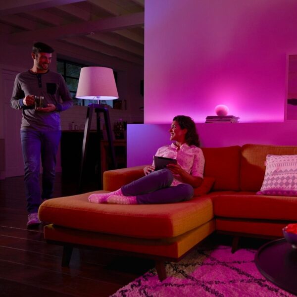 Philips Hue Go