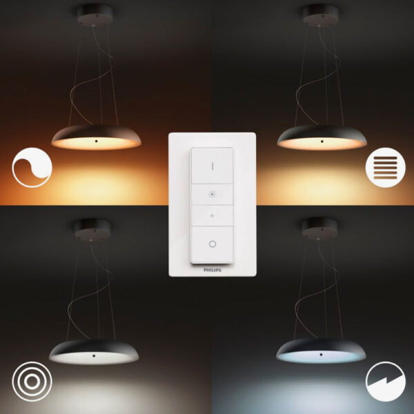 Lámpara colgante Amaze negro Philips Hue 4