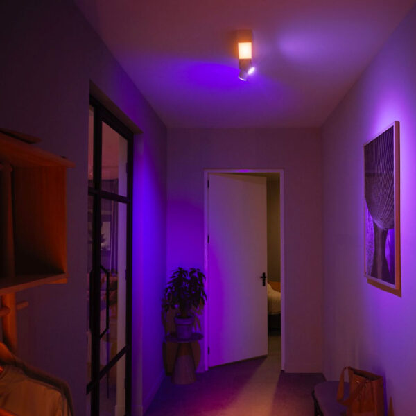 lampara-de-techo-plafon-dos-focos-flourish-led-blanco-philips-hue-foto-3