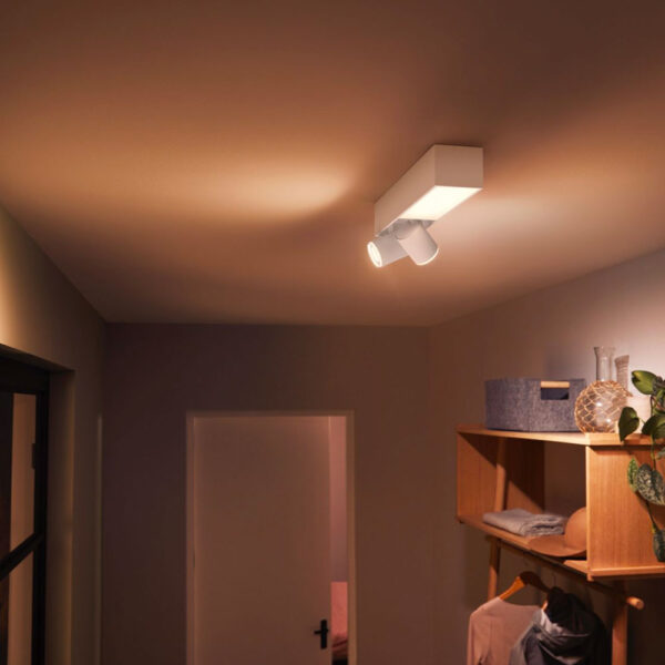 lampara-de-techo-plafon-dos-focos-flourish-led-blanco-philips-hue-foto-4